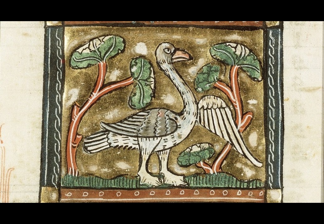 Crusader Goose