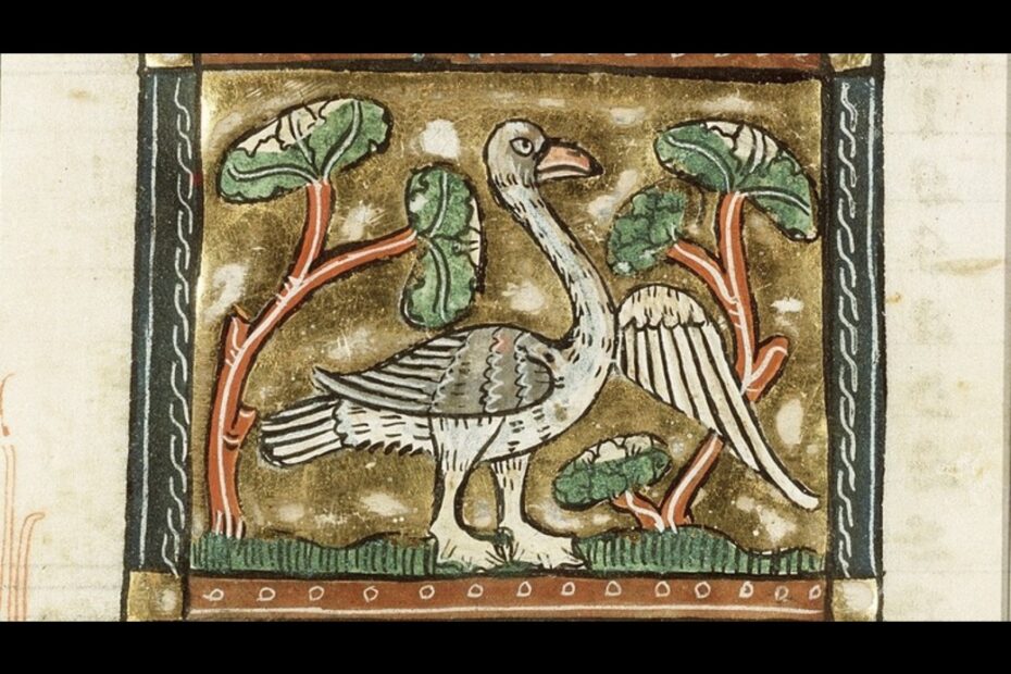 Crusader Goose