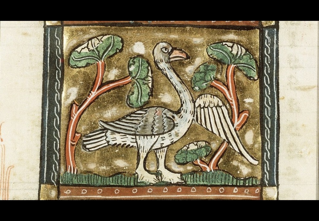 The Crusading Goose - Vintage Letter Co.